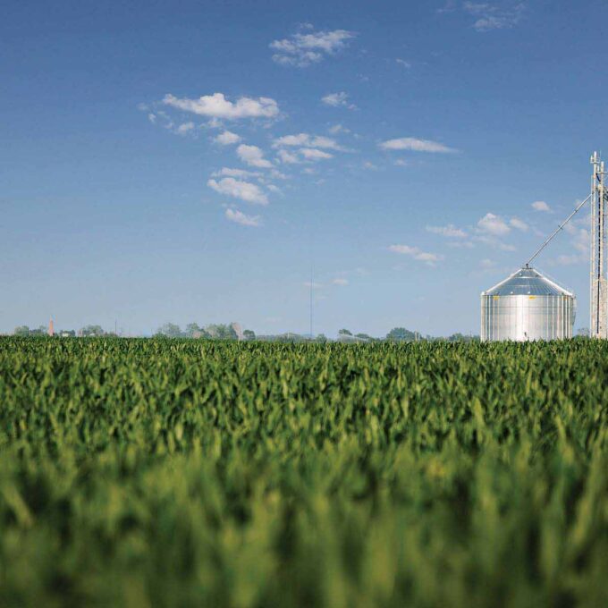 co-29438_blog_header_corn