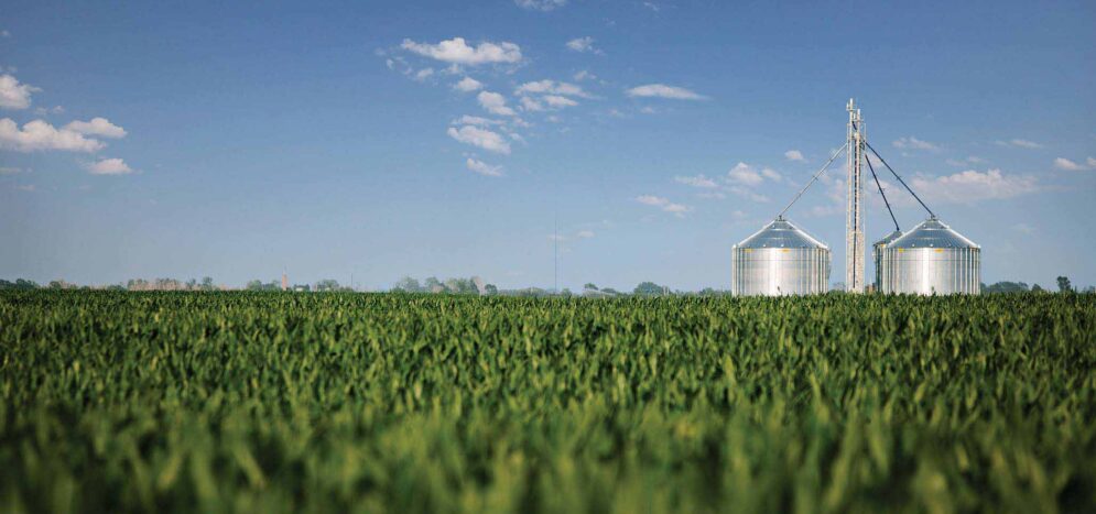 co-29438_blog_header_corn